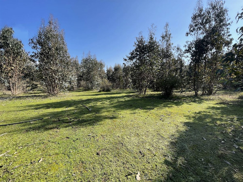 Parcelas En Vichuquén Al Lado De Laguna Torca Y Playa Llico