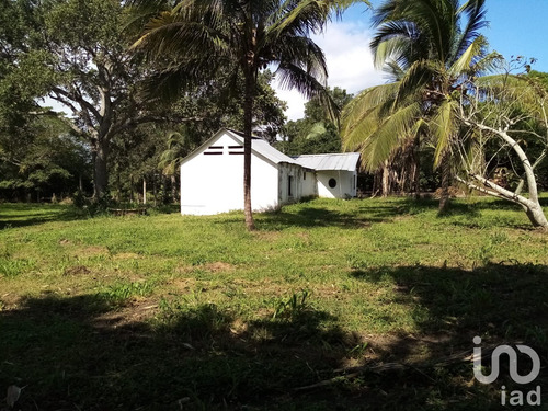 Venta Terreno 0 Ambiente Paso Del Toro