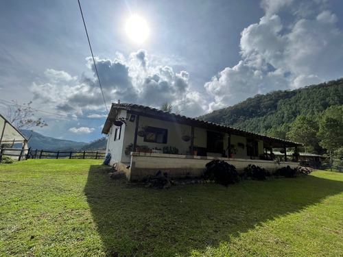 Se Vende Hermosa Finca Certificada Para Exportación En Jericó, Antioquia 