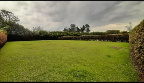 Lote En Venta En Rionegro. Cod V11366