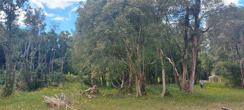 Se Vende Hermosa Parcela Cercana A Río Quinchilca, Folilco. 