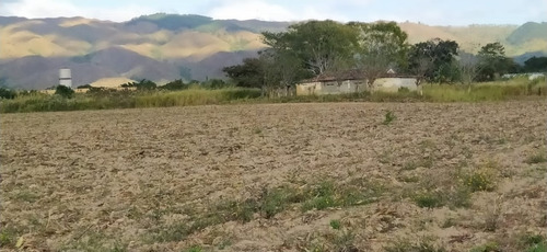 Imagen 13 de 13 de En Venta Hacienda En Bejuma. Ra