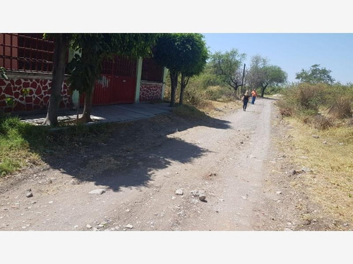 Imagen 5 de 7 de Terreno En Venta Plan De Ayala