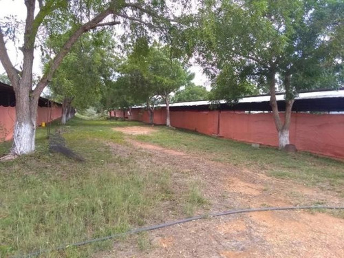 Imagen 13 de 30 de Jose Lopez Ofrece Finca ( Granja Avícola / Agrícola ) En Venta Vía A Duaca Caserio Guayabal Cordero Lara, Venezuela ,j G L Rent - A - House Telf. 0414-5533925 Cod # 22-16836 $ 15000