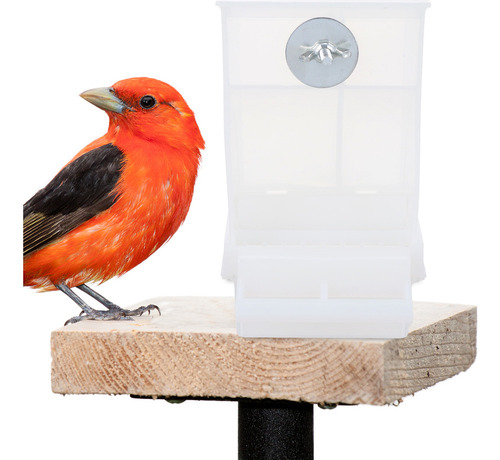 Comedero Para Loros Con Accesorios Para Jaulas De Periquitos
