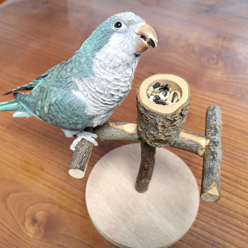 Zona De Juegos Para Pájaros Para Loros Soporte Para Percha P