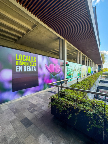 Monterreal Local Comercial En Renta Plaza Urban Center Av Cámara De Comercio