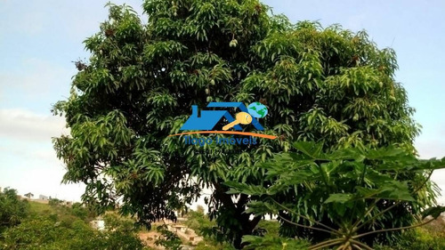 Imagem 10 de 15 de Venda De Chácara Em Jarinu No Centro Da Cidade! - 553
