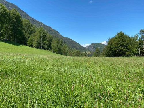 Excelente Terreno En Venta En Pucón / Sector Menetúe