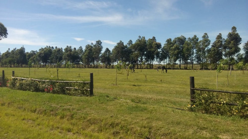 Imagen 9 de 14 de Villa Renata Arroyo Vega - Esquina - Corrientes - Argentina