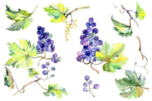 Kit Imágenes Digitales Uvas Acuarela 1018869
