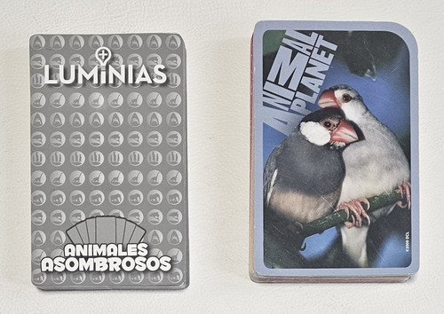 Cartas Didacticas Infantiles X 2 - Luminias Y Animal Planet