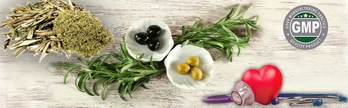 Extracto De Hoja De Olivo 15000 Mg Con 20 % De Oleuropeína