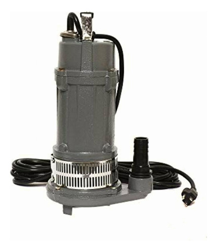Igoto Pump Qdx1.5-32-0.75t Bomba Sumergible Para Agua 1 Hp