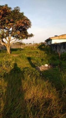 Imagem 6 de 6 de Terreno Medindo 650 Metros Em Itanhaém Litoral Sp - 7743 Npc