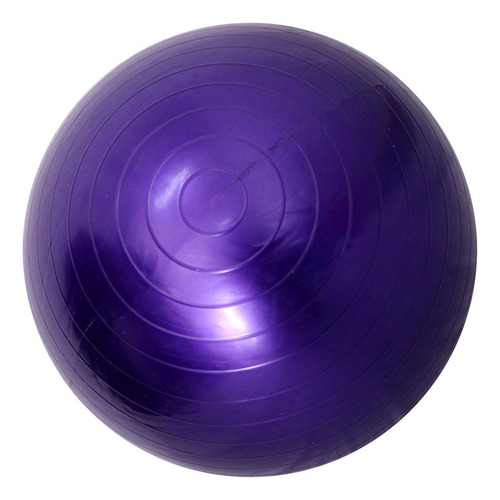 Wpd Pelota De Ejercicio Pelota De De Fitness Anti-explosión