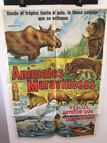 Afiche Original De Cine - Animales Maravillosos