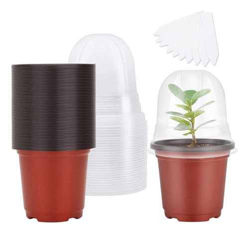 Macetas De Vivero Mixc Con Cúpula De Humedad 4 De Plástico