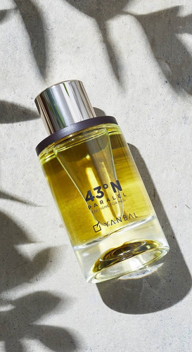 43n Paralel Parfum De Yanbal Volumen De La Unidad 75 Ml