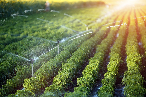 Aspersor Impacto Irrigação Im22 Rosca 1 Polegada Kit 40 Un