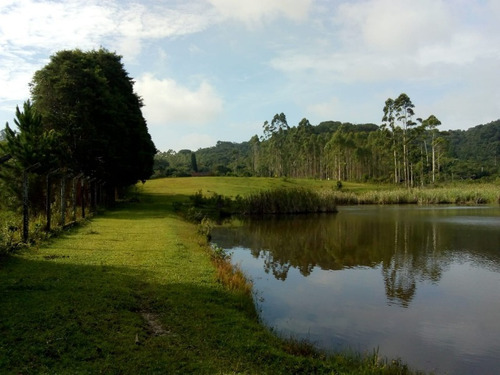 Imagem 12 de 19 de Sítio À Venda Em Juquitiba, Excelente Oportunidade! - 355 - 33553342