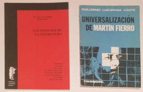 2-universalizacion De M.fierro/los Espacios De La Literatura