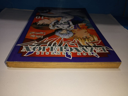 Neon Genesis Evangelion 10 Especial Mangá (Usado)