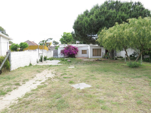 Imagen 2 de 20 de Venta Casa Y Apartamento Un Mismo Padrón Zona Lagomar
