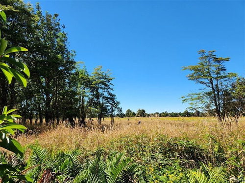Imagen 3 de 12 de Campito En Venta En Puerto Varas
