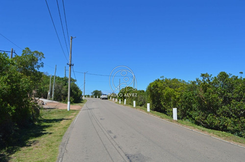 Imagen 3 de 13 de Terrenos-venta-cerro-san-antonio-te214