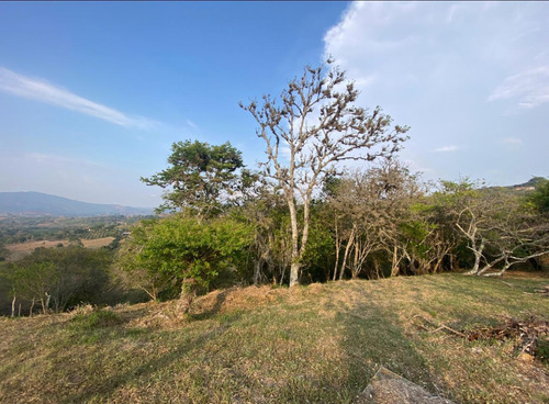 Hectarea Casa Lote Con Vista Al Pueblo- Barichara