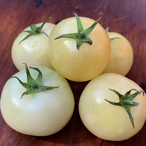 Sementes De Tomate Super Snow White - Tomate Branco Crioulo