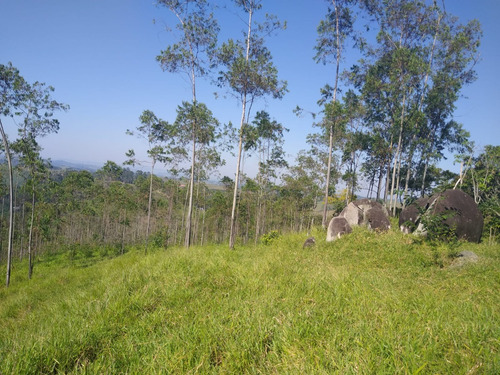 Lotes Em Igaratá - Boa Vista São Paulo