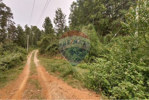 Gran Terreno 5.5 Ha Cercano Al Pueblo De Mafil