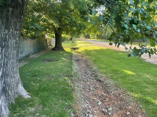 Imagen 3 de 24 de Terreno - Funes