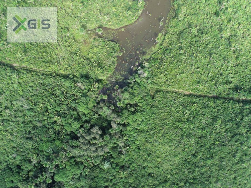 Imagem 11 de 14 de Fazenda À Venda, 2.019,2237 Ha Por R$ 1.600.000 - Br-308 - Mirinzal/ma - Fa0014