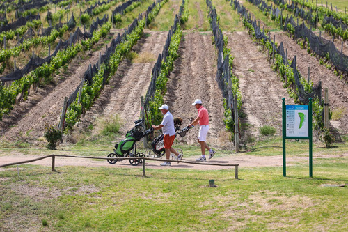 Lot K4 Algodón Wine Estates