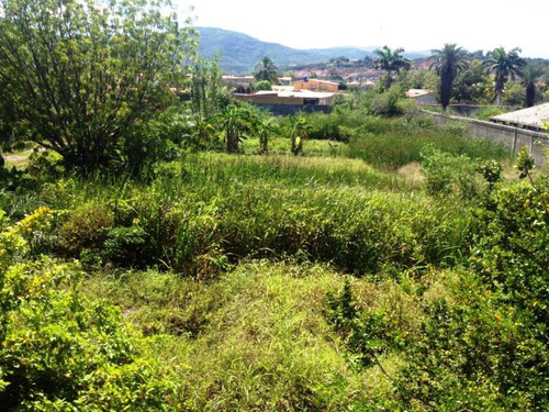 Imagen 3 de 5 de Terreno Cercado 10000 M2 Av. Cancamure Sector La Guagua