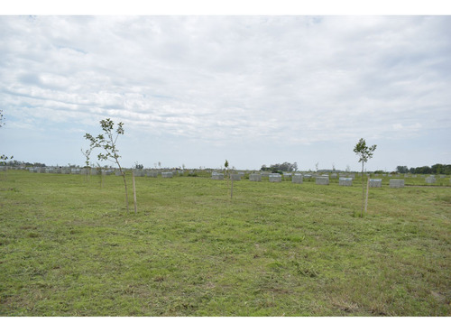Lote En Villa Amelia Financiado