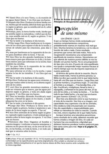 Biblia Rvr60 Renacer Tapa Rústica