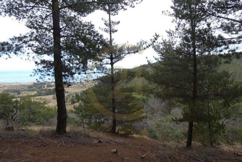 Terreno Tunquén: Naturaleza Y Vista Al Mar