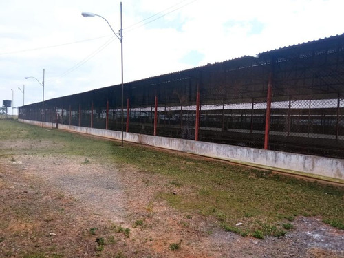 Imagen 3 de 6 de Venta De Finca