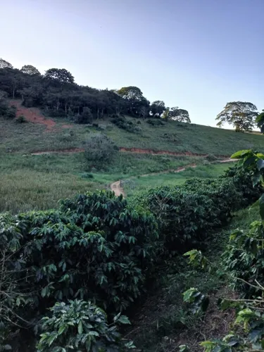 Propriedade Rural 22 Hectares