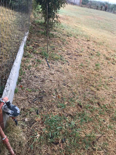 Imagen 3 de 10 de La Arbolada Hollywood Terreno 1235mt Malagueño