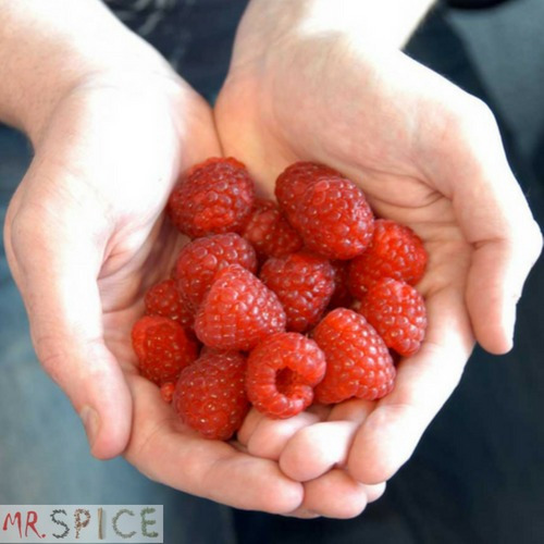 Sementes De Framboesa Rubus Idaeus Ideal Para Vasos E Horta