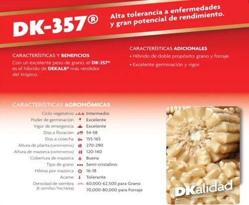 Semilla De Maiz Hibrido Blanco Dk 357 Forrajero Silo 1kg