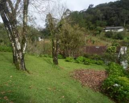 Chacara - 03407 - 33228877