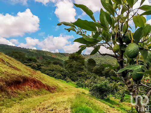 Venta Rancho 0 Ambiente Cochisquila