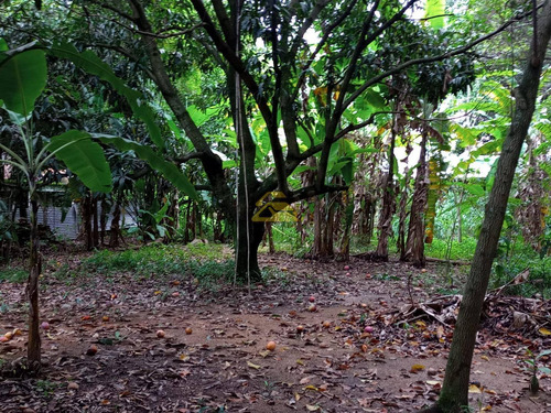 Imagem 10 de 21 de Terreno - Ref: Scv11924