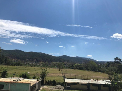 José Herrera Vende Mini Finca En La Entrada De Nirgua Estado Yaracuy. (plf-005)